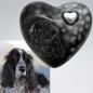 Preview: Herzurne Hund im Licht - auch nach Foto